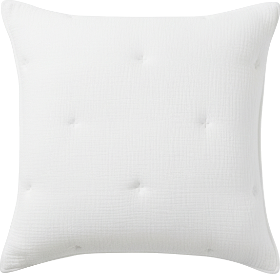 Breeze Cotton Embroidered Sham, European