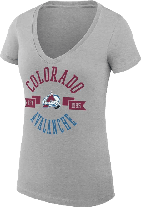 Women's Heather Gray Colorado Avalanche Super-Slim Fit Lightweight City Graphic V-Neck T-Shirt
