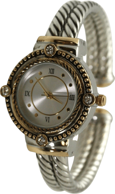 Two Tone Elegant Classy Roman Numerals and Details Women Watch