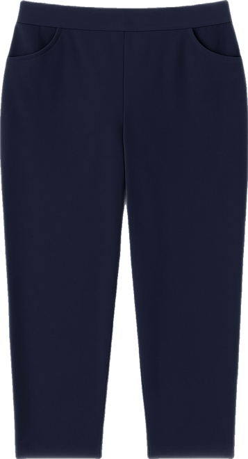 Plus Size Classic Allure Tummy Control Pull-On Short Length Pants