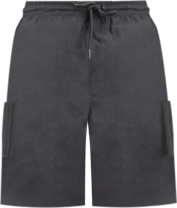 Shop SNIPES Nylon Cargo Shorts FW25MF016-050 grey | SNIPES USA