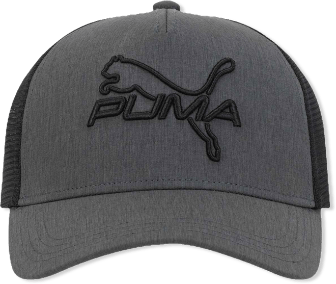Men's 3D Embroidered Logo Cap