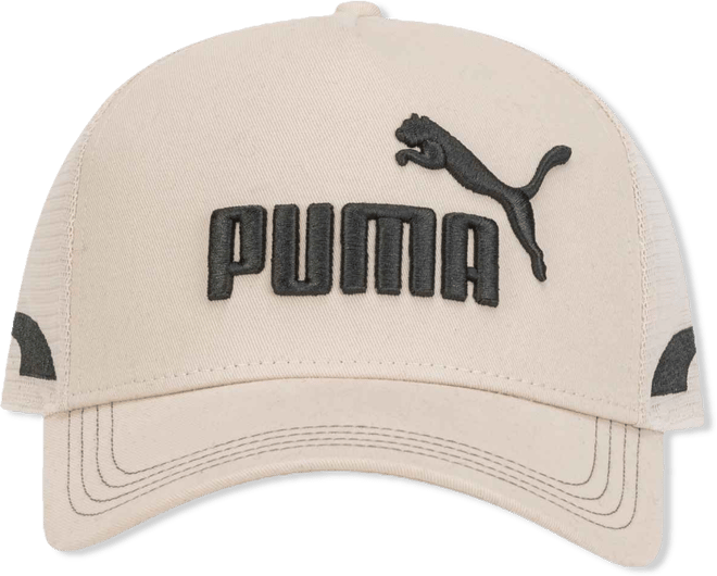 Men's Embroidered Desert Trucker Cap