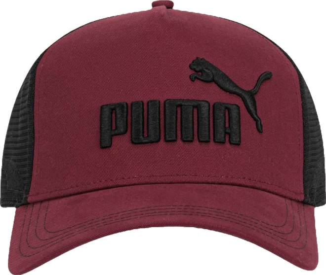 Men's Embroidered Desert Trucker Cap