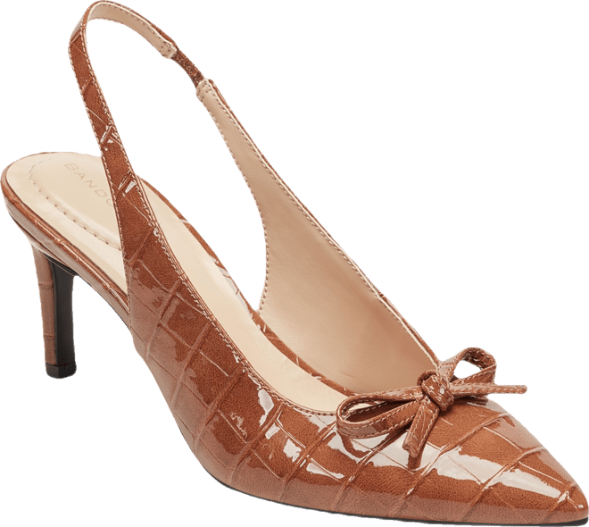 Women's Shane Pointed Toe Slingback Pumps