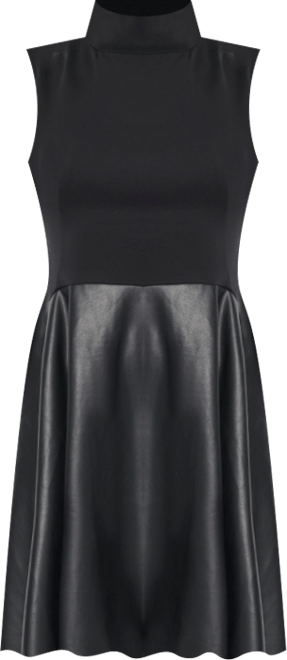 Women's Sleeveless Mock Neck Fit & Flare Dress