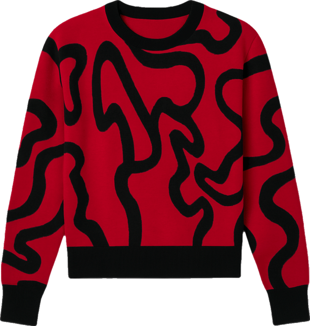 Women's Squiggle Jacquard Crewneck Sweater