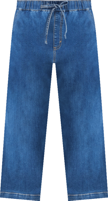 Plus Size High-Rise Pull-On Wide-Leg Jeans, Macy's Exclusive