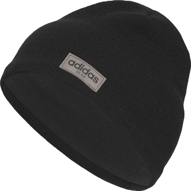 Men's Skully Standard Fit Beanie