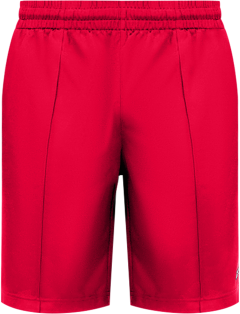 Men's Dazzle Regular Fit Shorts