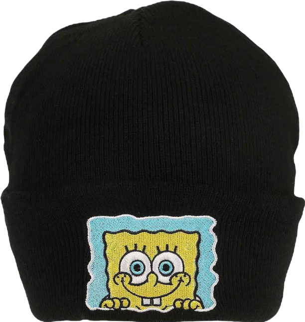 Men's Embroidery Acrylic Knit Standard Cuff Beanie