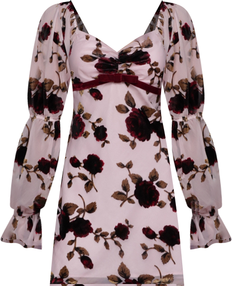 Women's Victorian Sleeve Mini Dress