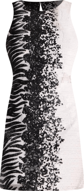 Women's Zebra Ombre Sequin Mini Dress