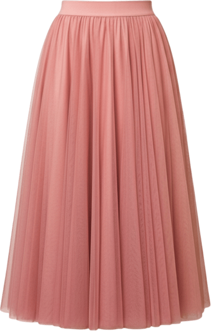 Women's A Line Mesh Midi Skirt