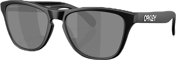 Men's Polarized Sunglasses, Frogskins S OO9508
