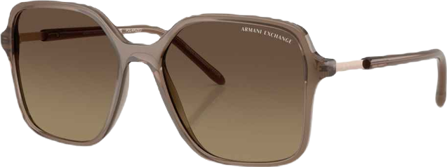 Women's Polarized Sunglasses AX4163S