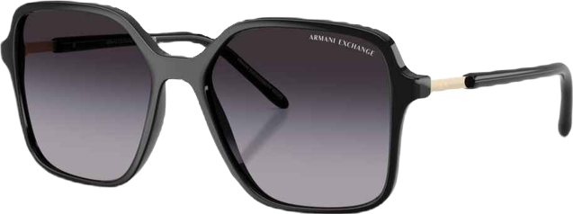Women's Sunglasses AX4163S