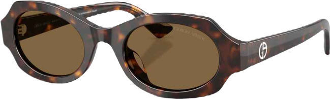 Women's Geometric Sunglasses, AR8245HU