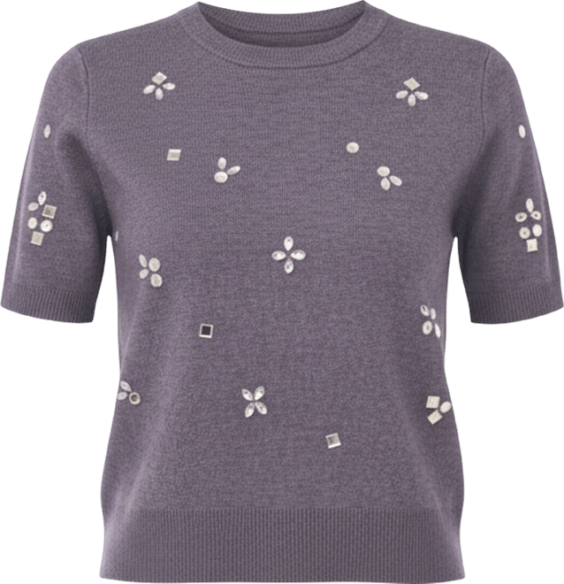 Women's Embellished Short Sleeves Sweater