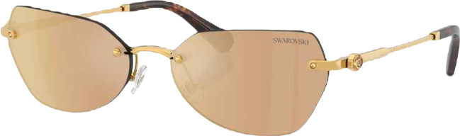 Women's Geometric Sunglasses, SK7038