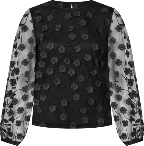 Women's Long Sleeve Sheer Floral Top