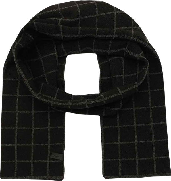 Men's Window Check Scarf