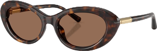 Women's Oval Sunglasses, DG4519