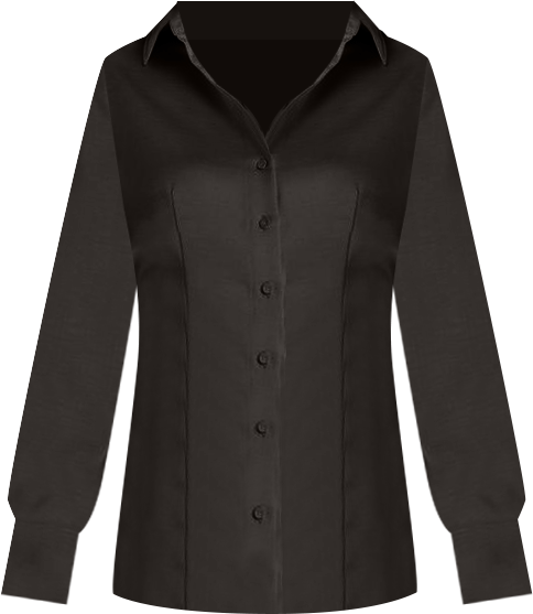 Women's Paulina Silk Blouse