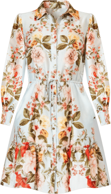 Women's Printed Button-Front Long-Sleeve Dress