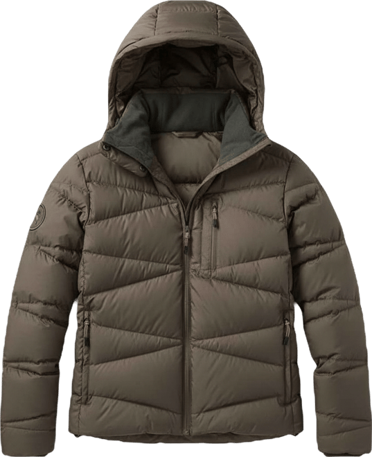 Women's Stansbury Allied Down Jacket