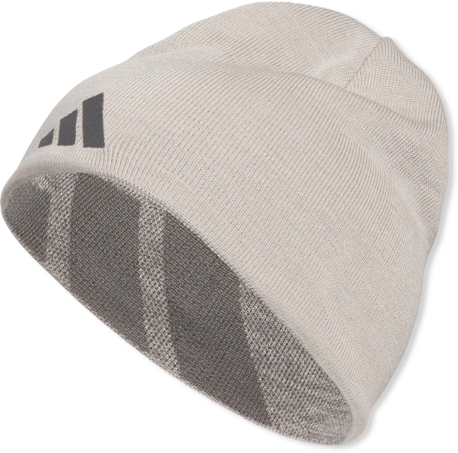 Men's Reversible Skully Beanie