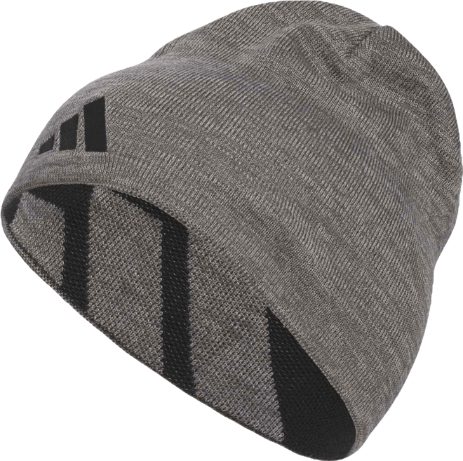 Men's Reversible Skully Beanie