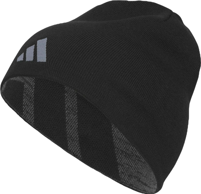 Men's Reversible Skully Beanie