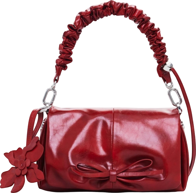 Women's Small shiny bow bag