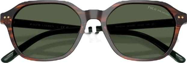 Men's Polarized Sunglasses, PH4234U