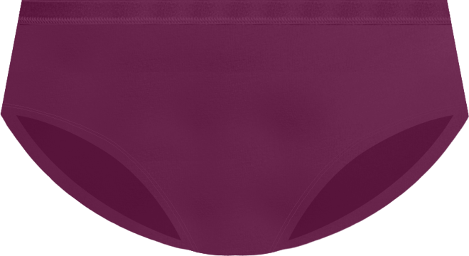 Women's Cotton Stretch Hipster Underwear 1554