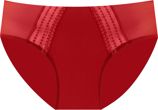 Women's Matilda Full Brief Underwear