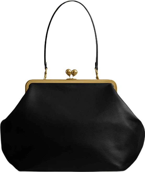 Medium Leather Kisslock Frame Bag