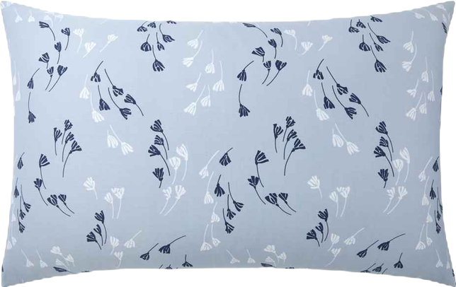 Valerian Graphic Shams Pair, Standard