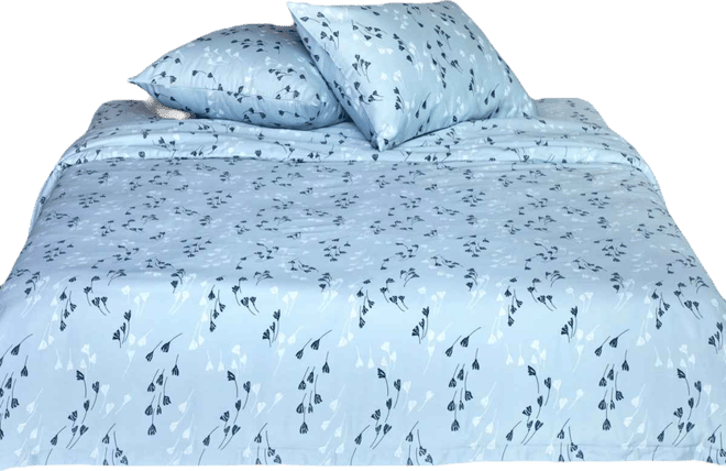 Valerian Graphic 2-Pc. Duvet Cover Set, Queen