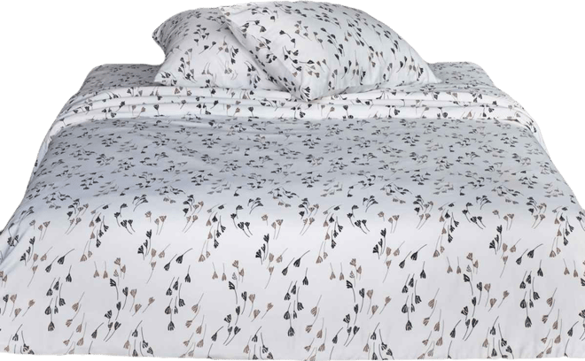 Valerian Graphic 2-Pc. Duvet Cover Set, Queen