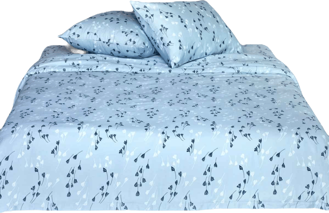 Valerian Graphic 2-Pc. Duvet Cover Set, Twin