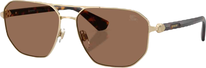 Men's Pilot Sunglasses, BE3166