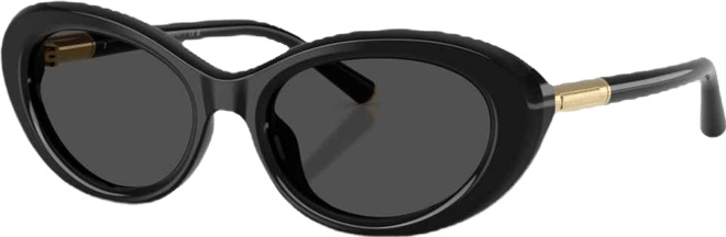 Women's Oval Sunglasses, DG4519