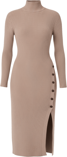 Women's Soryn Turtle Neck Sweater Dress