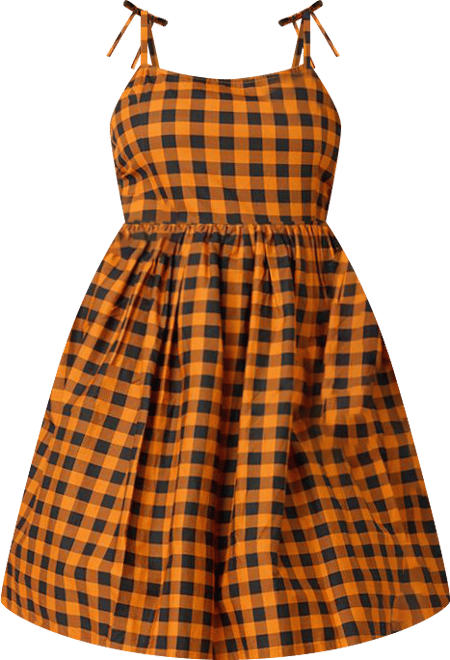 Plus Size Bobbie Swing Dress