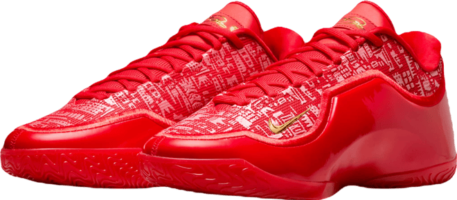 LeBron XXIII "Best In Class" Basketball Shoes