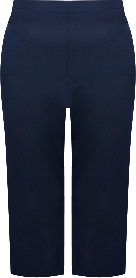 Women's Plus Size Cool Hand Crop Pant