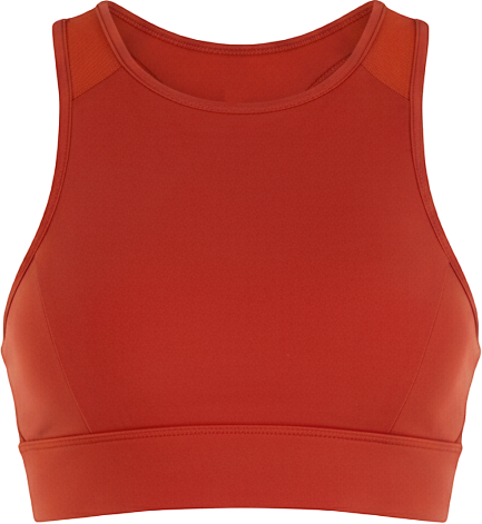 Women's Venti Mesh Longline Silkiflex Crop Bra