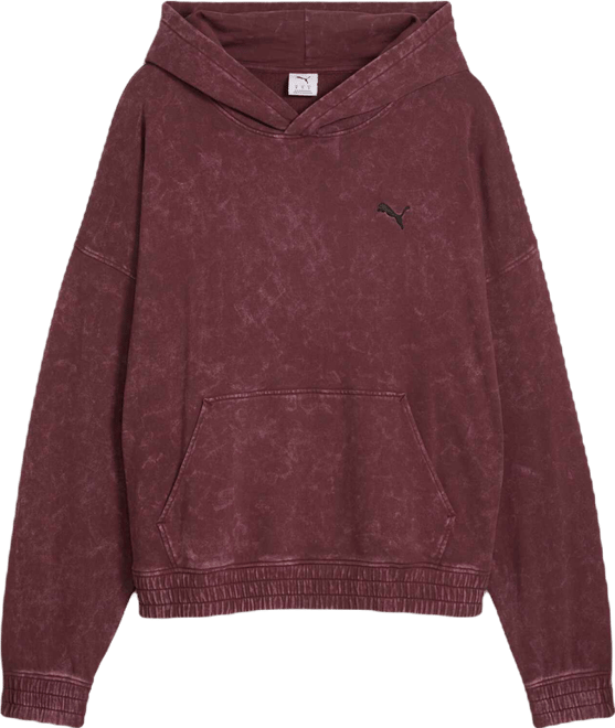 FUTURE.PUMA.ARCHIVE Hoodie